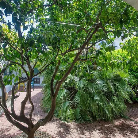 With Parking Space - 21216 Vodice